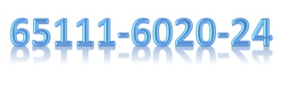 Самосвал КамАЗ 65111-6020-24 