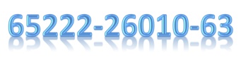 Самосвал КамАЗ 65222-26010-63 